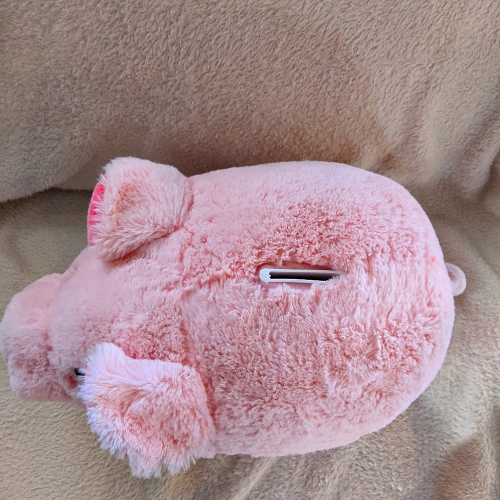 Cute pig piggy bank